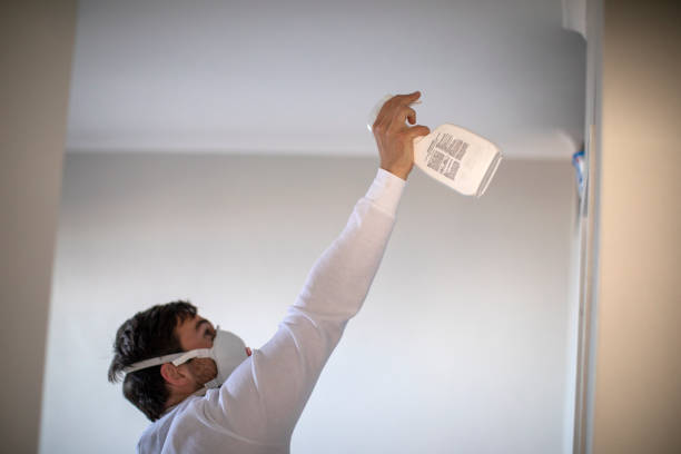 Best Mold Remediation  in Grosse Pointe Farms, MI