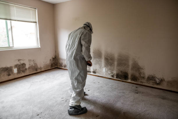 Best Commercial Mold Removal  in Grosse Pointe Farms, MI